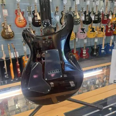 PRS SE Custom 24 2